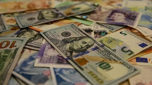 Dolarizasyon Nedir? Türkiye’de dolarizasyon Var Mı?